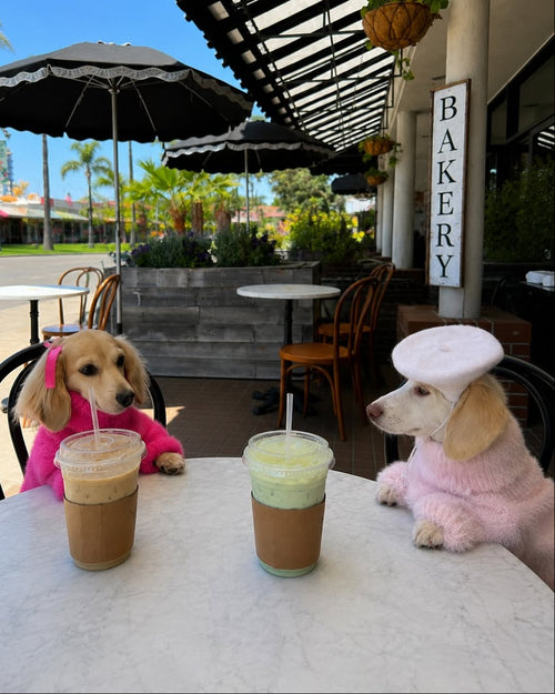 Bobbi Hot Pink Eyelash Knit Dog Sweater