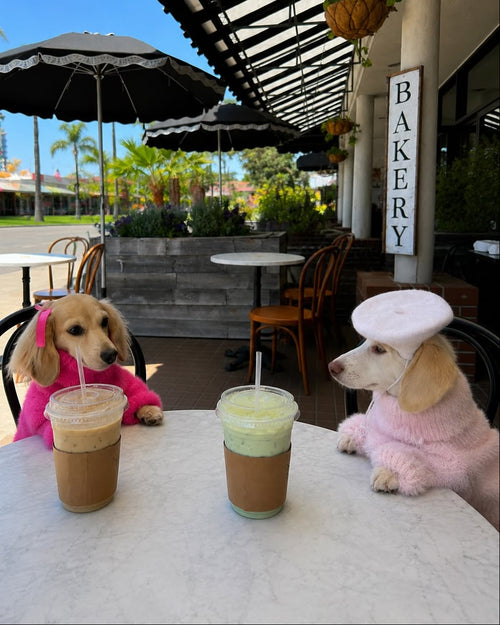 Bobbi Blush Eyelash Knit Dog Sweater