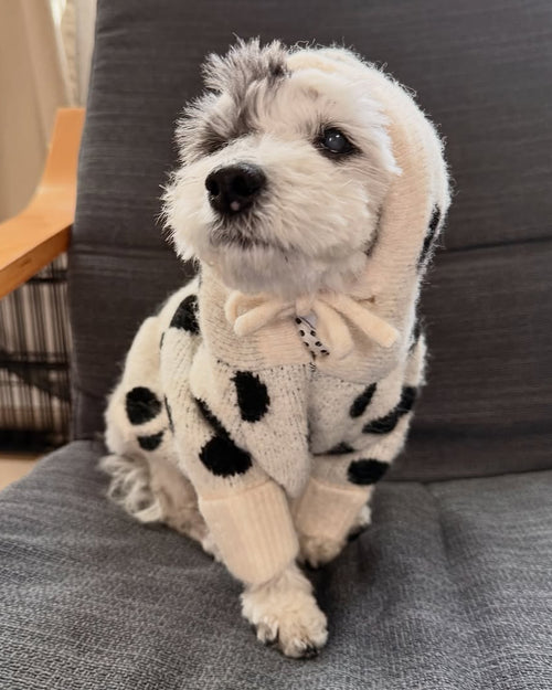 Venice Ivory + Black Polka Dot Dog Hoodie