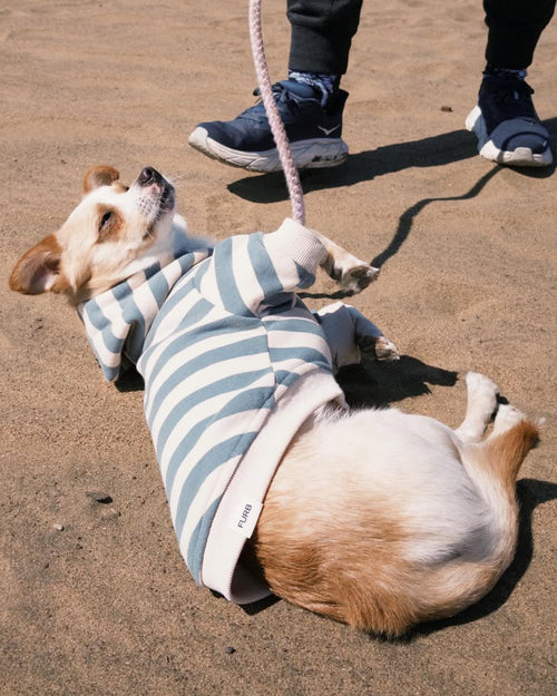 Remy Dusty Teal Stripe Dog Hoodie
