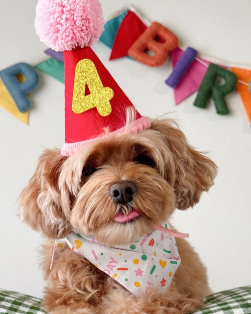 Happy Barkday Pink Dog Bandana