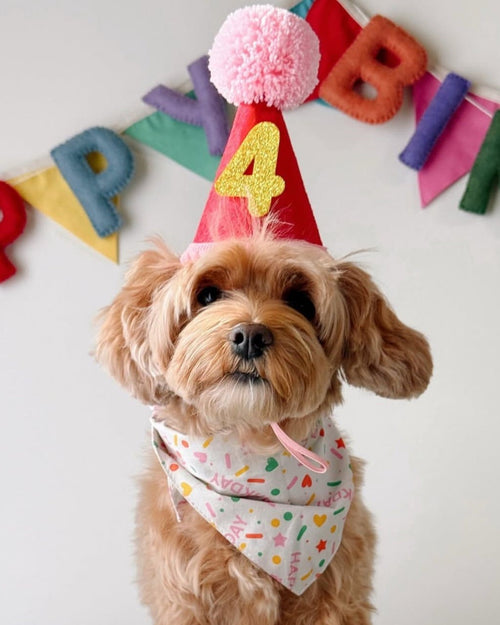 Happy Barkday Pink Dog Bandana