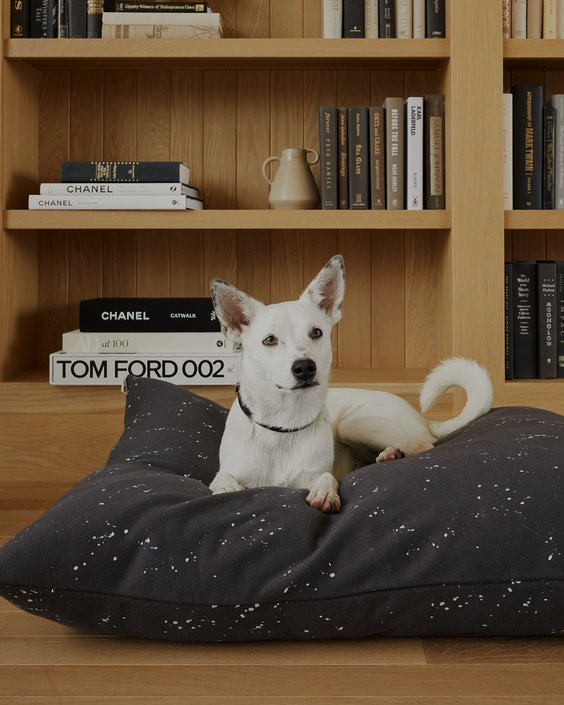 Roscoe Splatter Sweatshirt Dog Bed