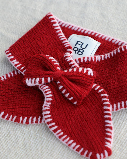 Under the Mistletoe Red Dog Scarf