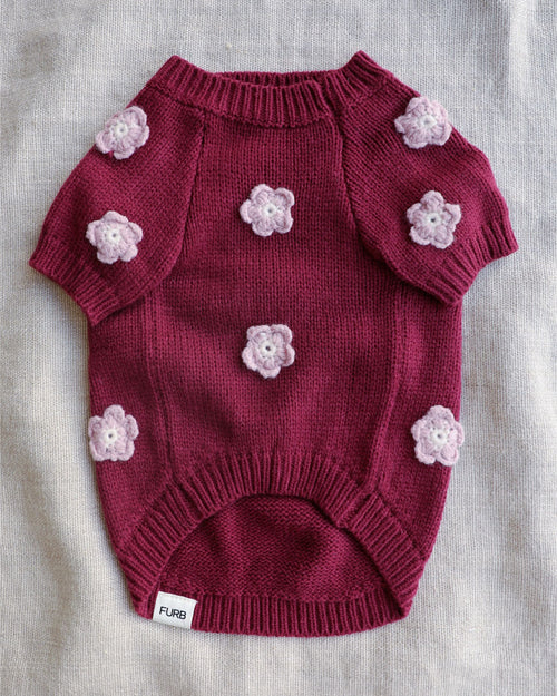 Petal Perfect Burgundy Daisy Dog Sweater