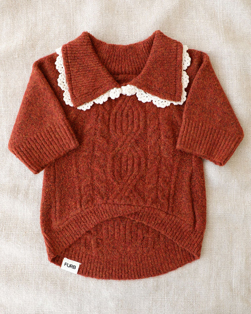 Tea Time Spice Cable Knit Dog Sweater