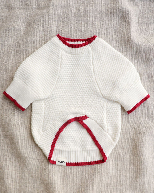 Sleigh All Day Christmas Dog Sweater