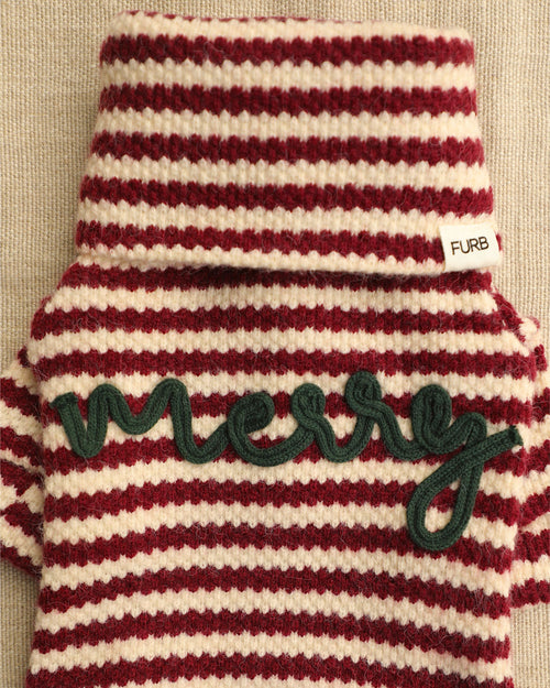 Charli Merry Dog Onesie