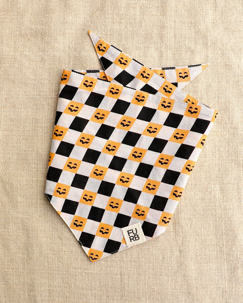 Check-or-Treat Pumpkin Bandana