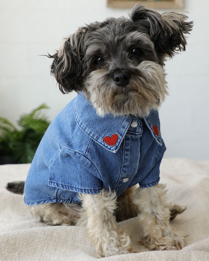Boot Scootin Denim Dog Shirt