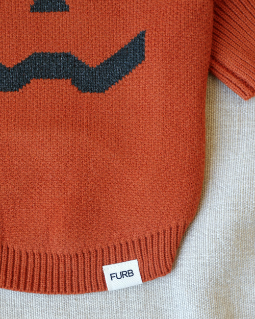 Pupkin Patch Dog Sweater