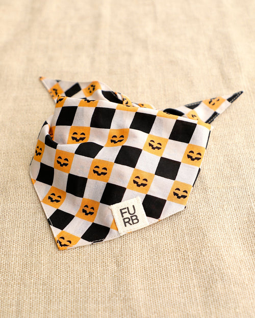 Check-or-Treat Pumpkin Bandana