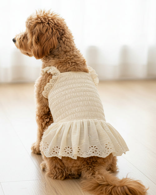 Milk + Honey Eyelet Smocked Dress