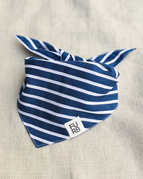 First Mate Navy Stripe Dog Bandana