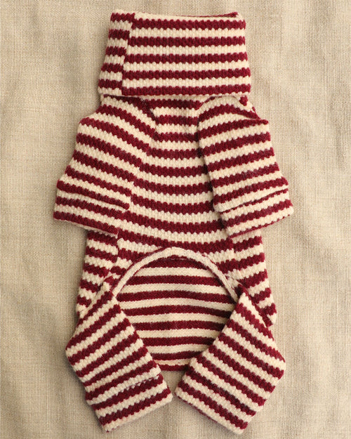 Charli Merry Dog Onesie