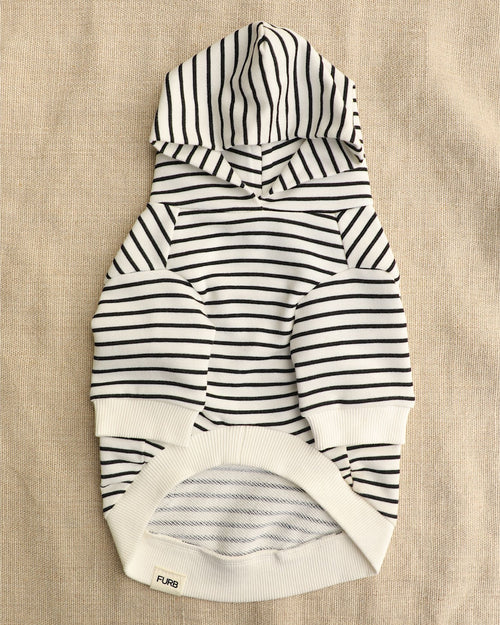 Ziggy Big City Dog Hoodie