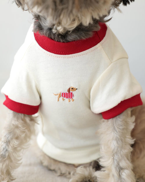 Hot Diggity Dachshund Ringer Tee