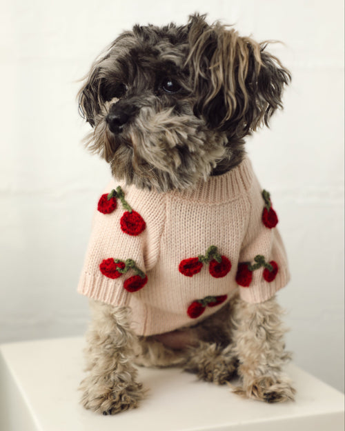 Mon Chéri Blush Cherry Dog Sweater