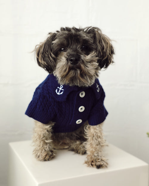 Little Skipper Navy Cable Knit Polo Sweater