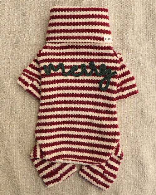 Charli Merry Dog Onesie