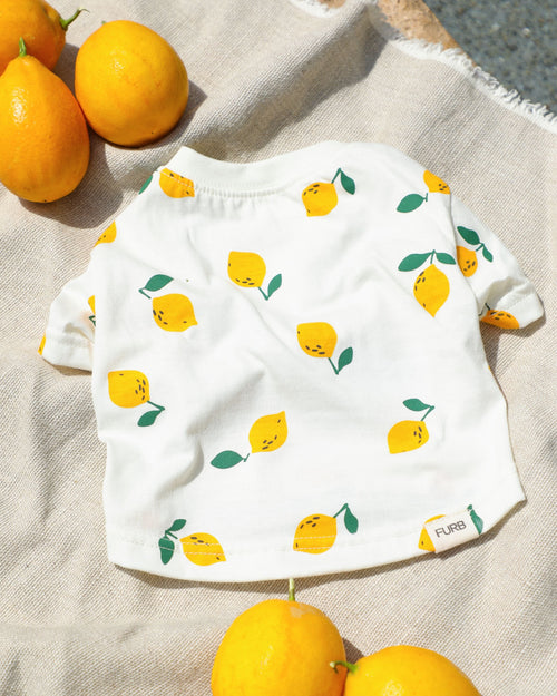 Summer inspired dog t shirt with playful lemon print and relaxed fit. Updated May 2026.