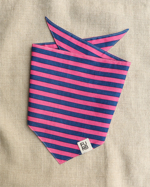 Saltwater Taffy Pink + Blue Stripe Bandana