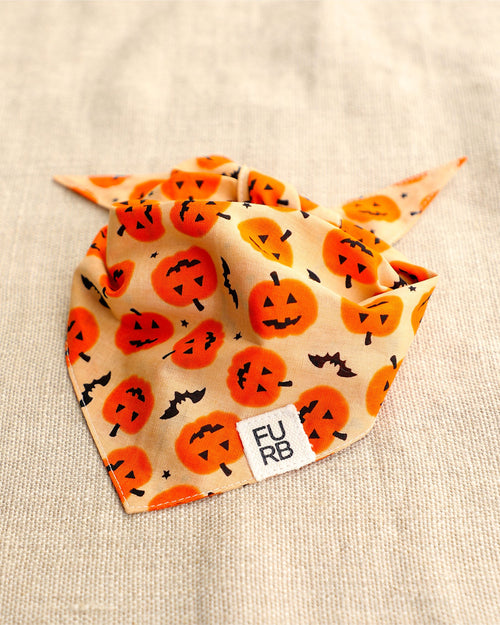 Fur-ight Night Pumpkin Bandana