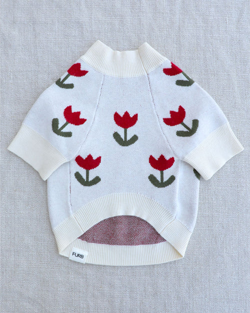 Bailey Tulip Dog Sweater