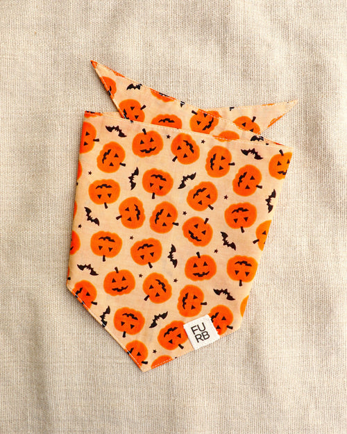 Fur-ight Night Pumpkin Bandana