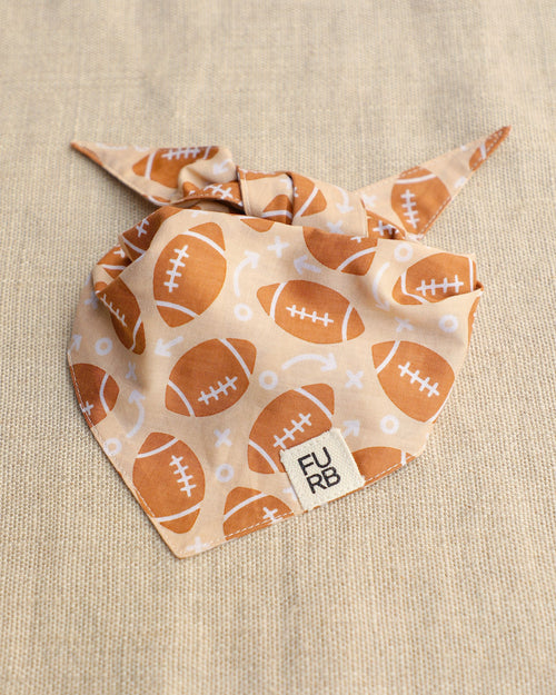 Little Champion Football Dog Bandana
