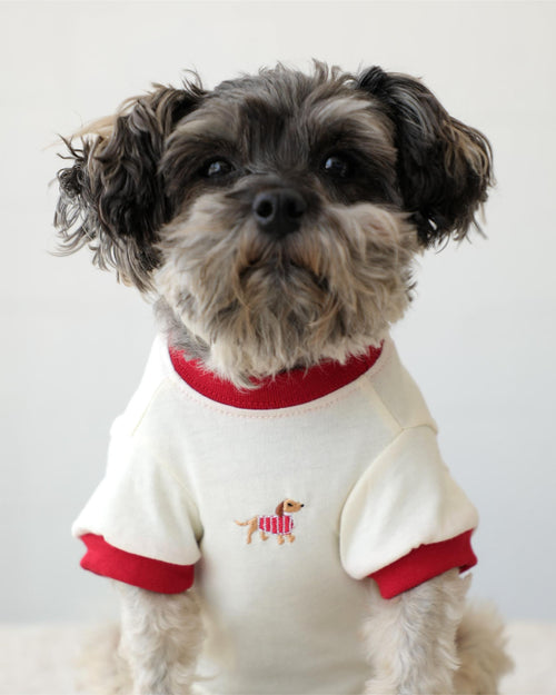 Hot Diggity Dachshund Ringer Tee