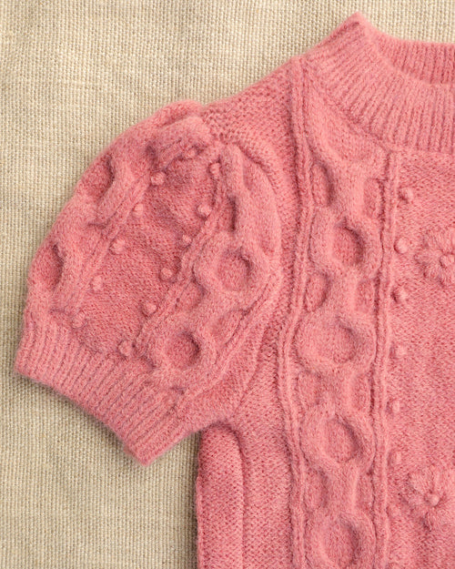 Genevieve Mauve Cable Knit Dog Sweater