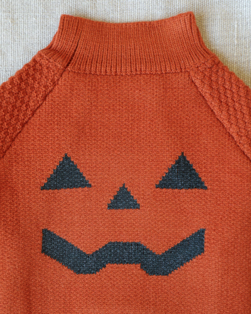Pupkin Patch Dog Sweater
