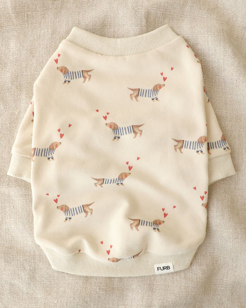 Frankie Dachshund Print Dog Sweatshirt