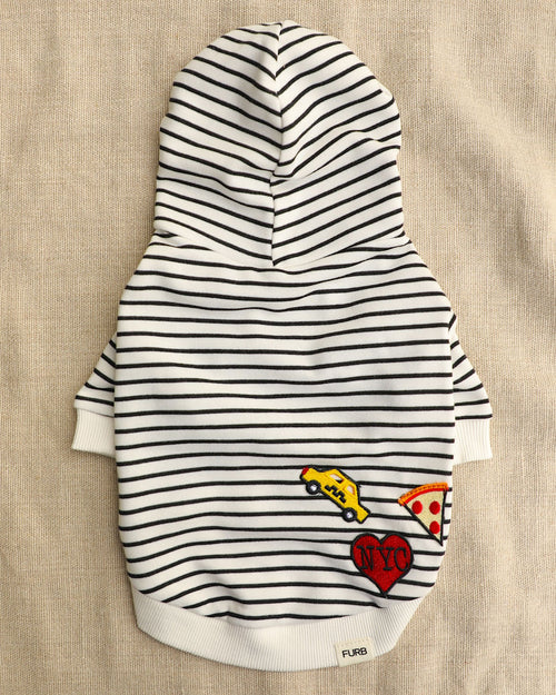 Ziggy Big City Dog Hoodie