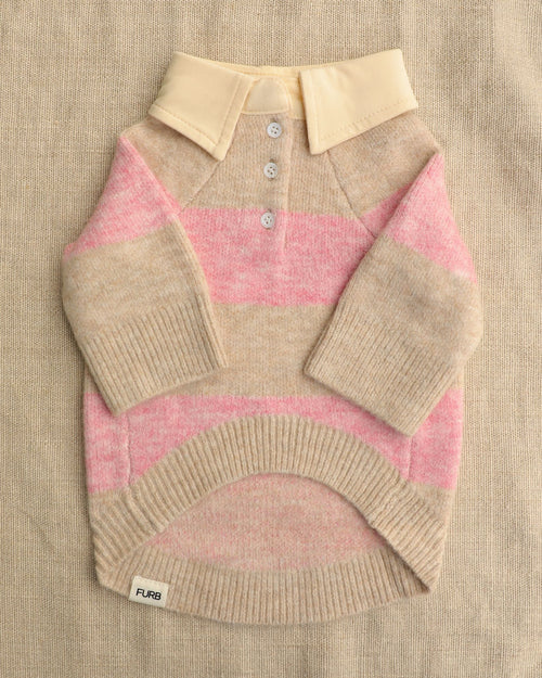Prep School Pup Pink Striped Rugby Sweater