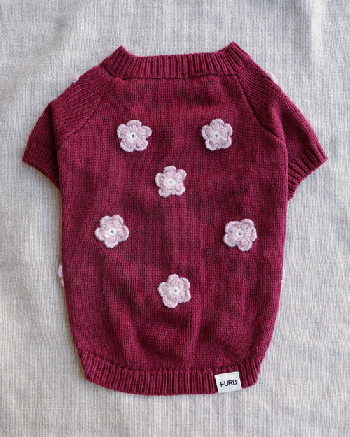 Petal Perfect Burgundy Daisy Dog Sweater