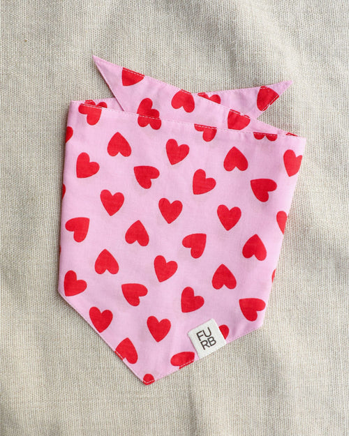 Cupid&