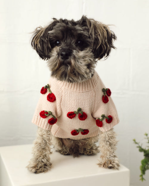Mon Chéri Blush Cherry Dog Sweater