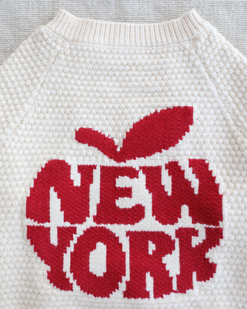Big Apple Knit Dog Sweater