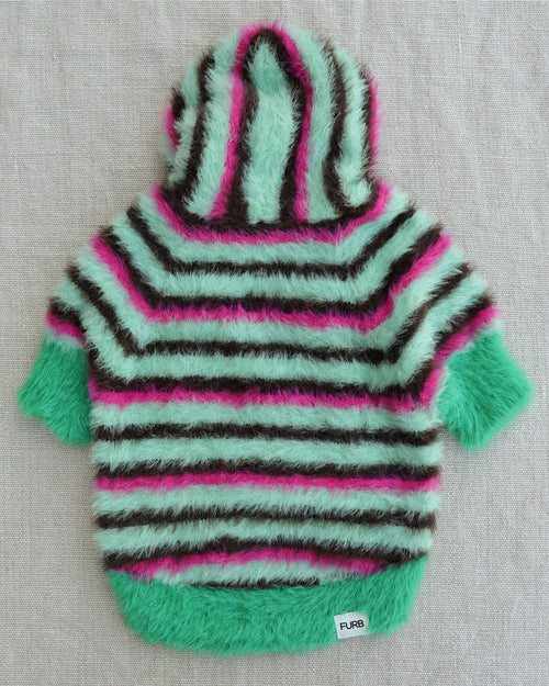 Venice Green Stripe Eyelash Dog Hoodie, Limited Edition