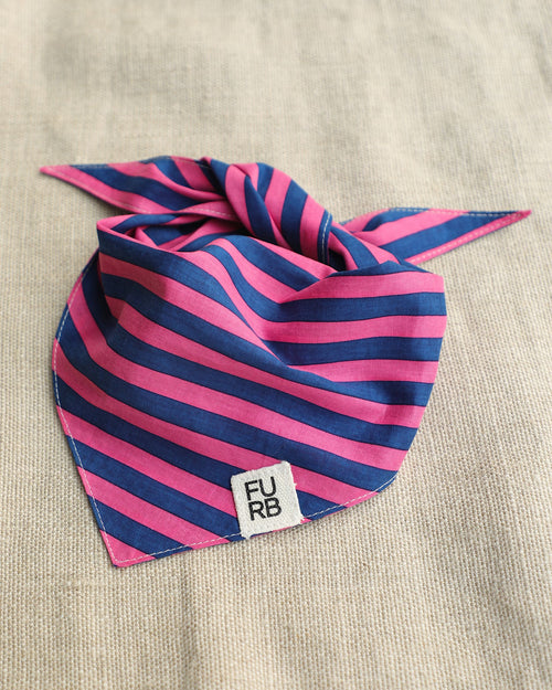 Saltwater Taffy Pink + Blue Stripe Bandana