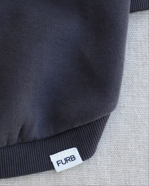 NYC Pup Club Dog Sweatshirt