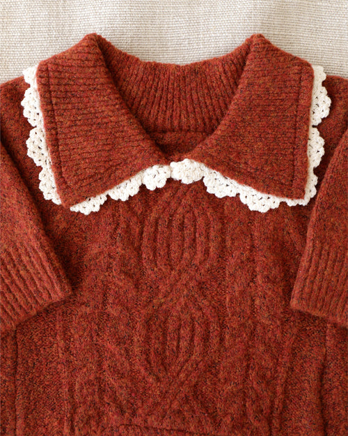 Tea Time Spice Cable Knit Dog Sweater