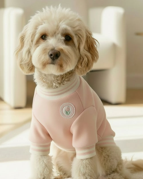 Fleur University Pink Sweatshirt