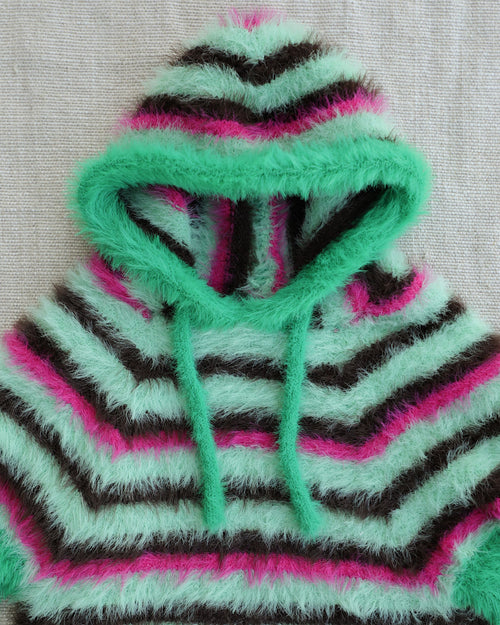 Venice Green Stripe Eyelash Dog Hoodie, Limited Edition