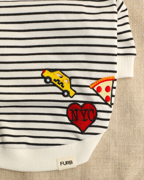 Ziggy Big City Dog Hoodie