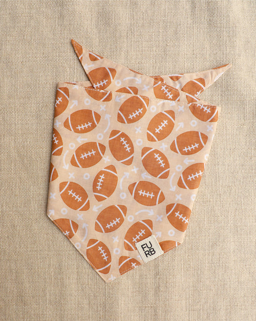 Little Champion Football Dog Bandana