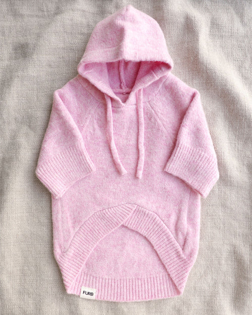 Venice Pink Dog Hoodie