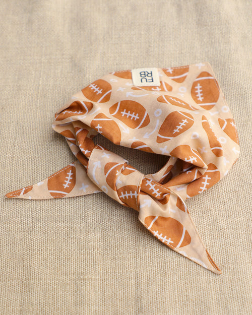 Little Champion Football Dog Bandana